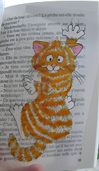 Cliquez sur la photo pour voir le modle