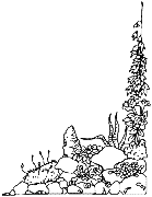 Cliquez sur la vignette pour agrandir le modle
