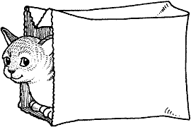 Cliquez sur la vignette pour agrandir le modle
