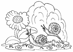 Cliquez sur la vignette pour agrandir le modle