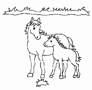 Cliquez sur la vignette pour agrandir le modle