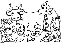 Cliquez sur la vignette pour agrandir le modle