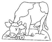 Cliquez sur la vignette pour agrandir le modle
