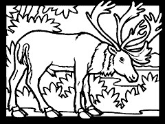 Cliquez sur la vignette pour agrandir le modle