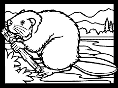 Cliquez sur la vignette pour agrandir le modle