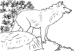 Cliquez sur la vignette pour agrandir le modle
