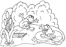 Cliquez sur la vignette pour agrandir le modle