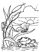 Cliquez sur la vignette pour agrandir le modle