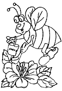 Cliquez sur la vignette pour agrandir le modle