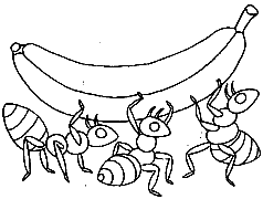 Cliquez sur la vignette pour agrandir le modle