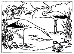 Cliquez sur la vignette pour agrandir le modle