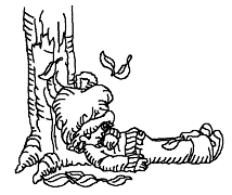 Cliquez sur la vignette pour agrandir le modle