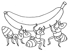 Cliquez sur la vignette pour agrandir le modle