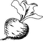 Cliquez sur la vignette pour agrandir le modle