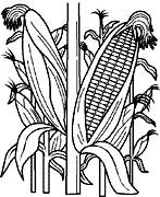 Cliquez sur la vignette pour agrandir le modle