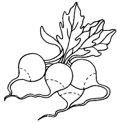 Cliquez sur la vignette pour agrandir le modle