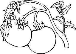 Cliquez sur la vignette pour agrandir le modle