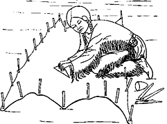 Cliquez sur la vignette pour agrandir le modle