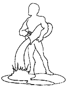 Cliquez sur la vignette pour agrandir le modle