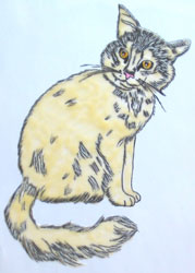 Birgit
