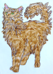 Birgit