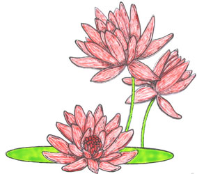 Birgit