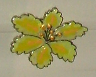 Bledine11