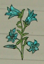Bledine11
