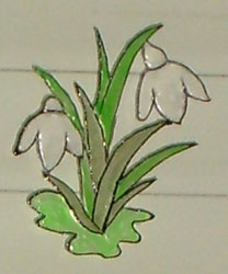 Bledine11