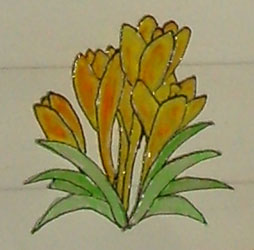 Bledine11