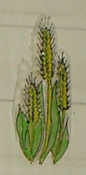 Bledine11