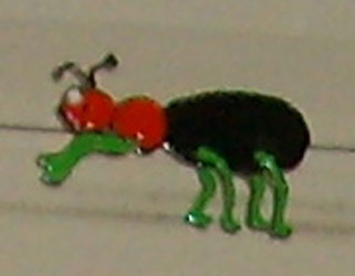 Bledine11