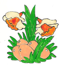Bledine11