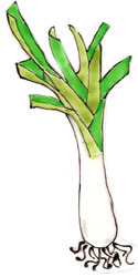 Bledine11