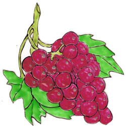 Bledine11