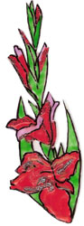 Bledine11