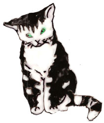 Bledine11