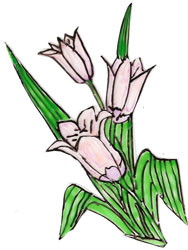 Bledine11
