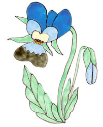 Bledine11