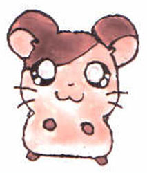 bolinette