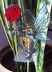 Butterfly2301