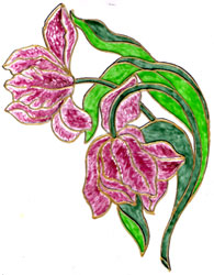 Chrysalide