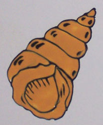 flogr