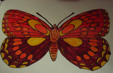 Francolina68