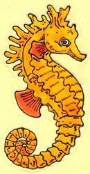 Iphias