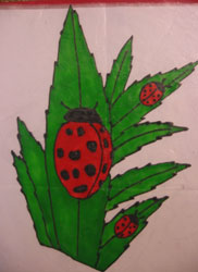 Ligia