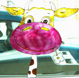 lilipop