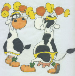 lilipop