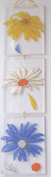 Lilipop