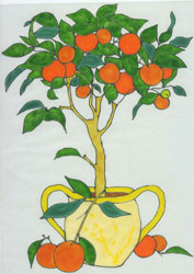 lilipop